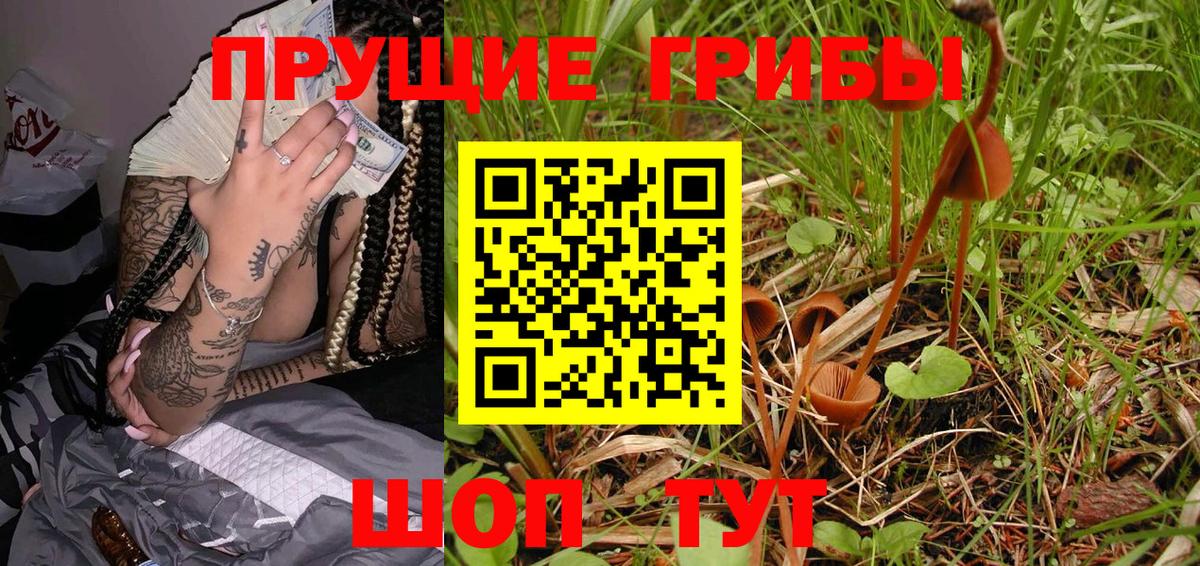 Галлюциногенные грибы Psilocybine cubensis  Вход с VPN  Елец  Галлюциногенные грибы GOLDEN TEACHER 